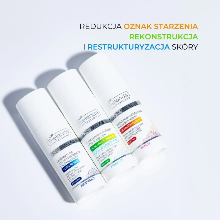 dog_bna_rekonstrukcja_i_przywr_cenie_r_wnowagi_sk_ry_2560_x_2560_px_.jpg